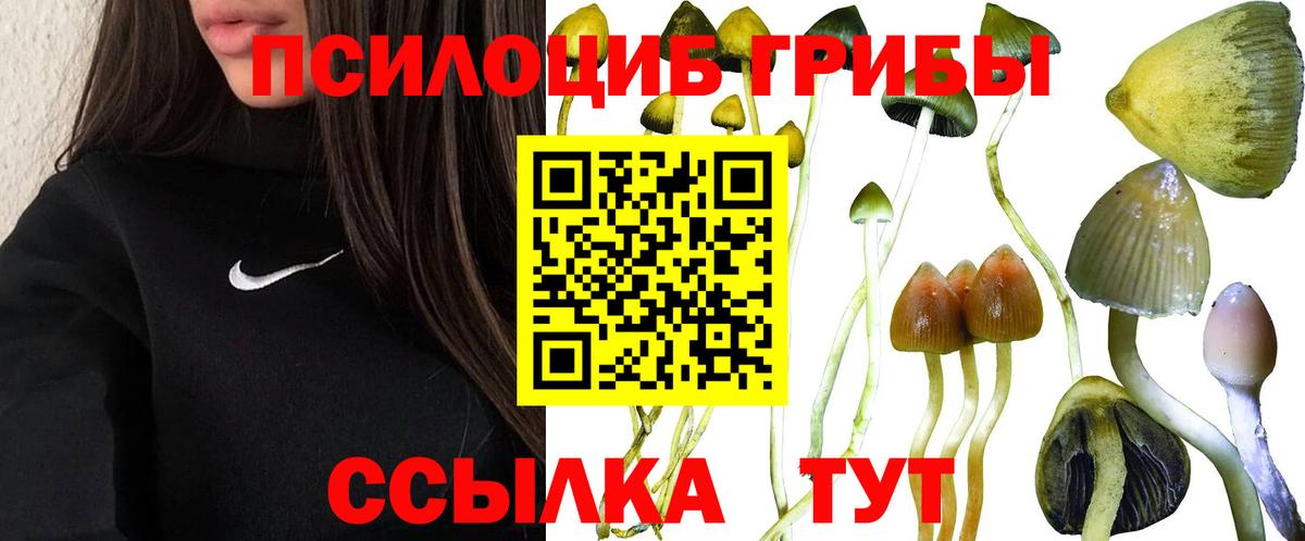 Нурлат  Галлюциногенные грибы Cubensis  Вход с VPN 
